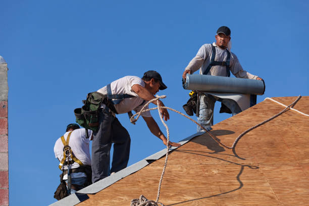 Best Roof Gutter Cleaning  in Grand Point, LA